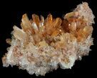 Orange Creedite Crystal Cluster - Durango, Mexico #51669-1